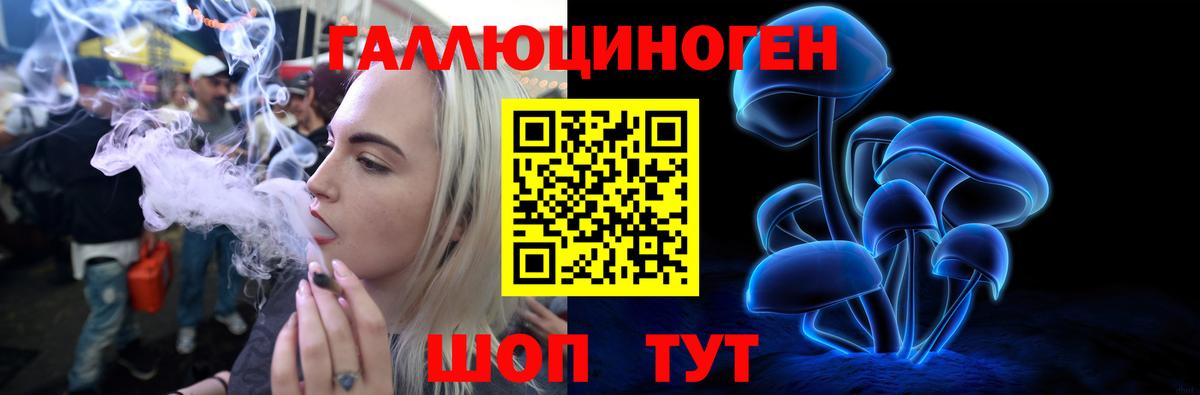 Псилоцибиновые грибы Psilocybe  Вход с VPN  магазин    Тында 